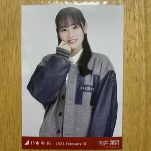 乃木坂46 向井葉月 スタジャン 生写真 チュウ 1枚 検) 会場 限定 月別 11th YEAR BIRTHDAY LIVE 2023.February-Ⅱ