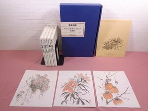 『 墨で描く四季の花セット 全四冊 』 宮本和郎 新日本出版社