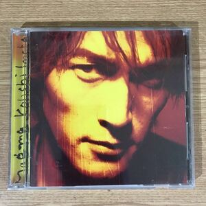 340 中古CD100円 稲葉浩志 マグマ