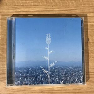 351 中古CD100円 コブクロ 蕾(つぼみ)