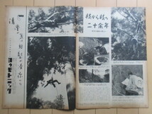 アサヒグラフ 1953年10月21日号 朝日新聞社　表紙：酒本節子　※シミ汚れ　/日韓会談再開/花の都のおんぼろ住宅/東京最後の渡守 他_画像6