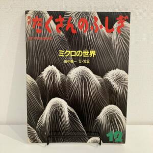 220309【ふしぎ新聞付き美品】月刊たくさんのふしぎ 1991年12月号「ミクロの世界」田中敬一郎文写真★当時物絵本福音館書店かがくのとも