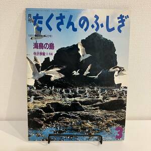 220309【ふしぎ新聞付き美品】月刊たくさんのふしぎ 1991年3月号「海鳥の島」寺沢孝毅 文写真★当時物絵本福音館書店かがくのとも