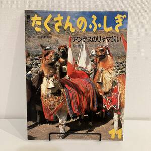 230313【ふしぎ新聞付美品】月刊たくさんのふしぎ1991年11月号80号「アンデスのリャマ使い」稲村哲也 ハイメロサン絵本福音館かがくのとも