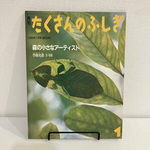 230313【ふしぎ新聞付美品】月刊たくさんのふしぎ1990年1月号58号「森の小さなアーティスト」今森光彦★絵本福音館かがくのとも