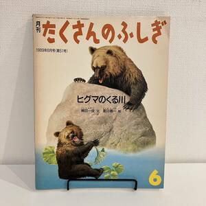 230313【ふしぎ新聞付美品】月刊たくさんのふしぎ1989年6月号51号「ヒグマのくる川」稗田一俊 夏目義一★絵本福音館かがくのとも