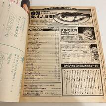 230324【カレンダー付】ファンロード1997年7月号★エヴァンゲリオン同人誌特集 人形改造★レトロアニメゲーム当時物雑誌漫画SF同人誌_画像10