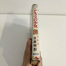 230326 偕成社版児童名作全集18アルプスの少女★スピリ 昭和32年3版★後藤楢根 佐藤ひろ子★昭和レトロ当時物絶版児童書ハイジ_画像3