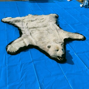 シロクマ　白熊　剥製　敷物