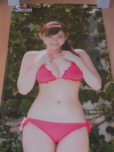 * Japanese cedar ... life-size poster asa. Secret 