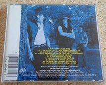 ◆ＣＤ◆Soul to Soul（Stevie Ray Vaughan）　輸入盤 スティービー・レイ・ヴォーン_画像2