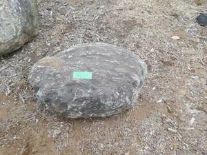 埼玉鶴ヶ島発 三波石 重さ 約５００キロ 綺麗な良い石材だと思います。引取のみ対応 庭石 景石 その４