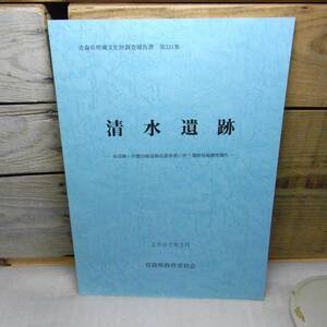 青森県埋蔵文化財調査報告書　第331集　清水遺跡（車力村）2002年　40ページ　