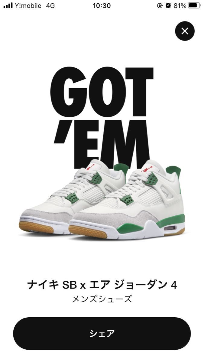 NIKE SB×エアジョーダン4 Pine Green ”パイン グリーン”｜PayPayフリマ