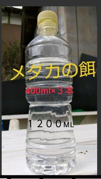 ゾウリムシ　1200ml　　メダカ　めだか　金魚　ミジンコの餌に…