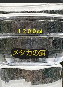 ゾウリムシ　1200ml　メダカや金魚やミジンコの餌。らんちゅう