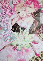 乙女系小説　沢城利穂　蜜色マリアージュ