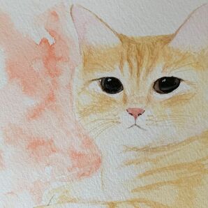 猫　水彩画　イラスト