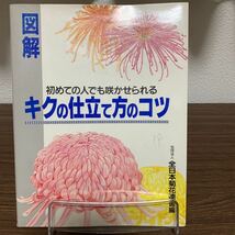 図解　初めての人でも咲かせられるキクの仕立て方のコツ/石川春彦/主婦の友社/平成元年4月発行_画像1