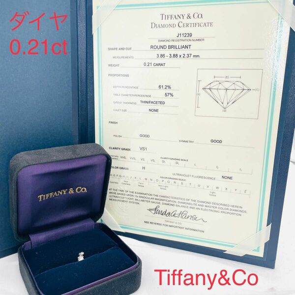 Tiffany&Co ティファニー　ダイヤモンド　0.21ct 鑑定書付き　ネックレストップ　ペンダントトップ