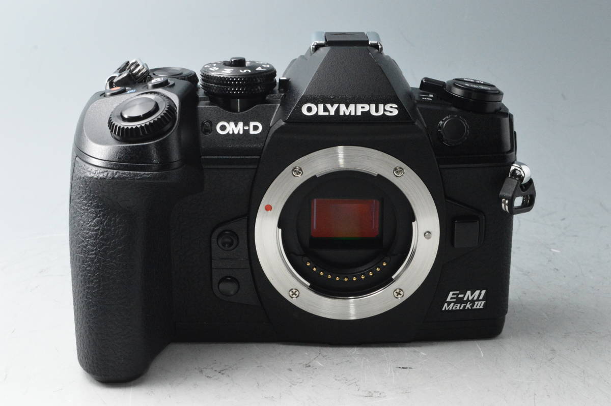 9415【美品】シャッター数10188回 OLYMPUS オリンパス OM-D E-M1 Mark