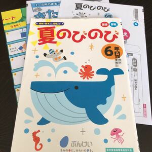 0002 夏のびのび 6年 文溪堂 小学 ドリル 国語 算数 さんすう こくご 問題集 過去問 テキスト解答 学習 家庭学習 漢字 計算 ぶんけい