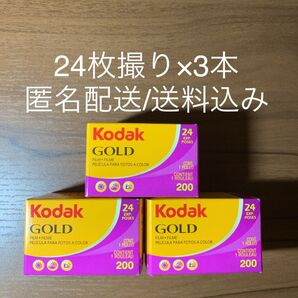 Kodak コダック gold ゴールド 200 24枚撮り×3本