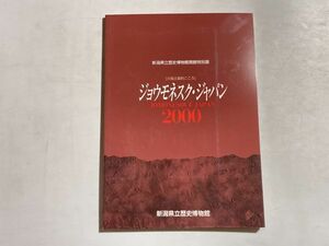 図録 ジョウモネスク・ジャパン 火焔土器的こころ 新潟県立歴史博物館 2000年