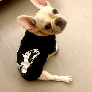 4PETS 犬服 フレンチブル Tシャツ 洋服 ドッグウェア XXLサイズ