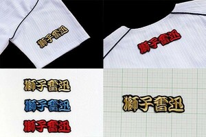 ◆送料無料◆ 獅子奮迅 そで等に 刺繍 ワッペン 西武 ライオンズ 応援 ユニホーム に