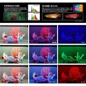 ゼンスイ 水中マルチカラーLED 1200  送料無料 但、一部地域除 同一商品購入2点目より700円引の画像2