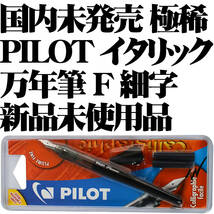 【国内未発売 極稀少】■パイロット PILOT 万年筆 Plumix イタリック F 細字 新品■カリグラフィー スタブ 即日発送 送料120円-_画像1