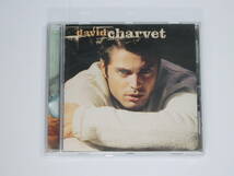 【中古】■ デイビット・シャルヴェ ■DAVID CHARVET フランス■14Y5C20/9_画像1