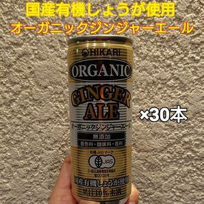 国産有機しょうが使用！オーガニックジンジャーエール×30本