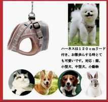 ペット 犬 服 ドッグ メッシュ ハーネス リード蛍光タイプ ピンク Ｍサイズ_画像8