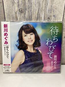 ★新品未開封CD★ 新川めぐみ / 待ちわびて [4988007279628]