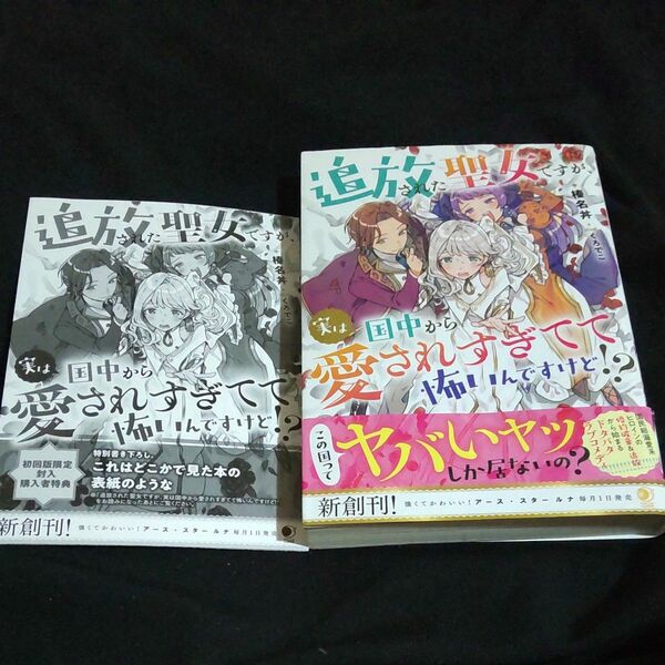 榛名丼『追放された聖女ですが、ｼﾞﾂﾊ国中から愛されすぎてて怖いんですけど！？』