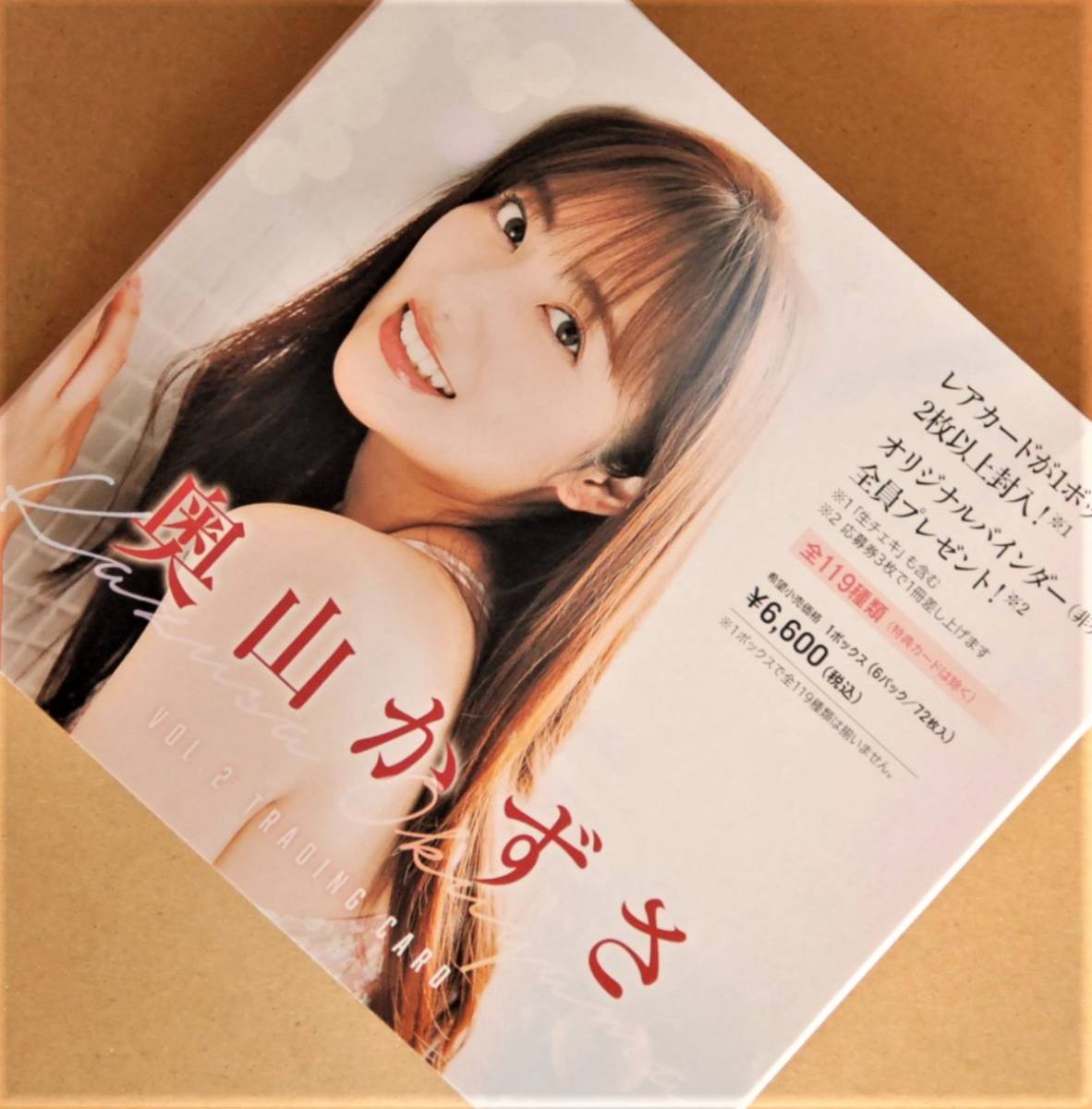 奥山かずさ ファースト セカンド トレーディング カード バインダー 全