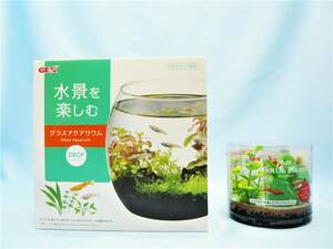 GEX water .. comfort glass aquarium ( Drop ) &.. water . bottle plant ( Anubias )