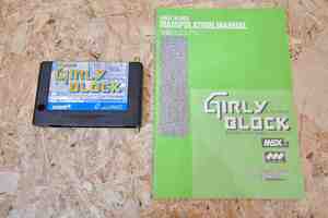 レトロ　当時物　MSX2　ソフト　日本テレネット 　ガーリーブロック 　Girly Block　ソフト　＆　説明書　