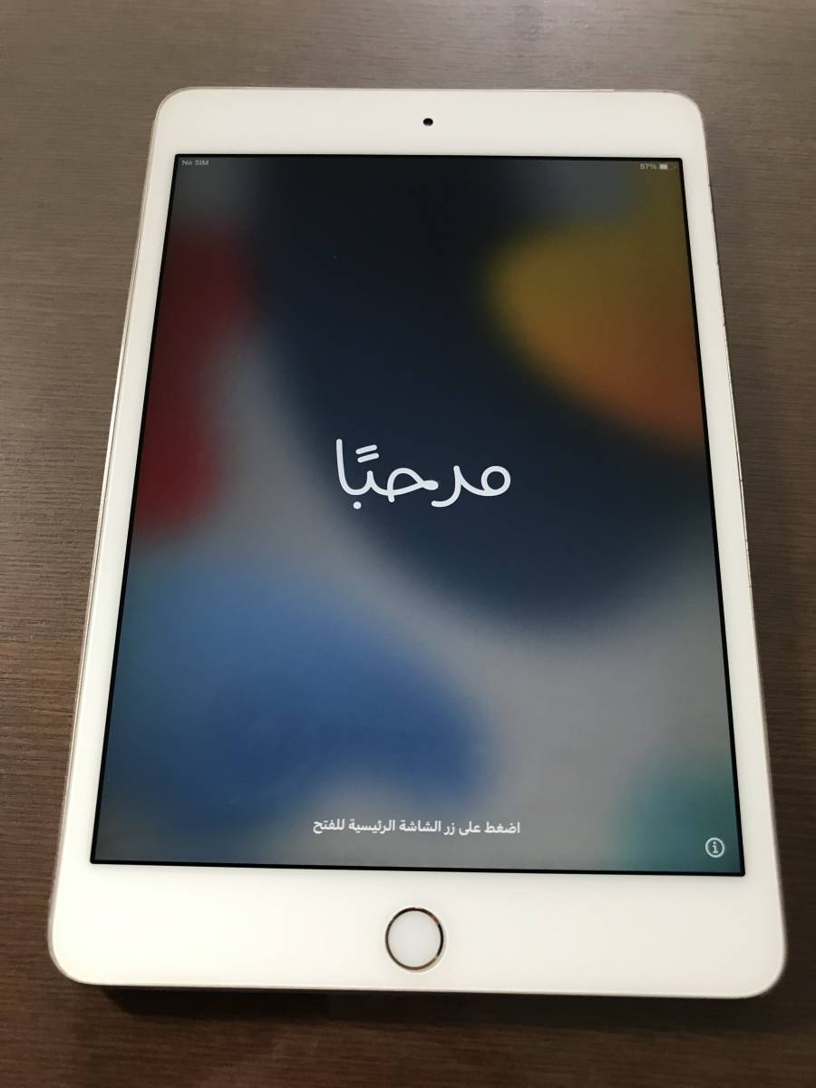 ヤフオク! -「ipad mini4 docomo 128gb」の落札相場・落札価格