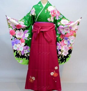  кимоно hakama комплект Junior для . исправление 135cm~143cm From KYOTO вышивка hakama новый товар ( АО ) дешево рисовое поле магазин NO29788-02