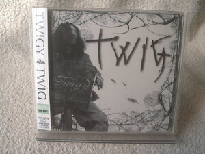 ★ TWIGY 【TWIG】 加藤ミリヤ、ZEEBRA、D.L、KAMINARI KAZOKU、妄走族