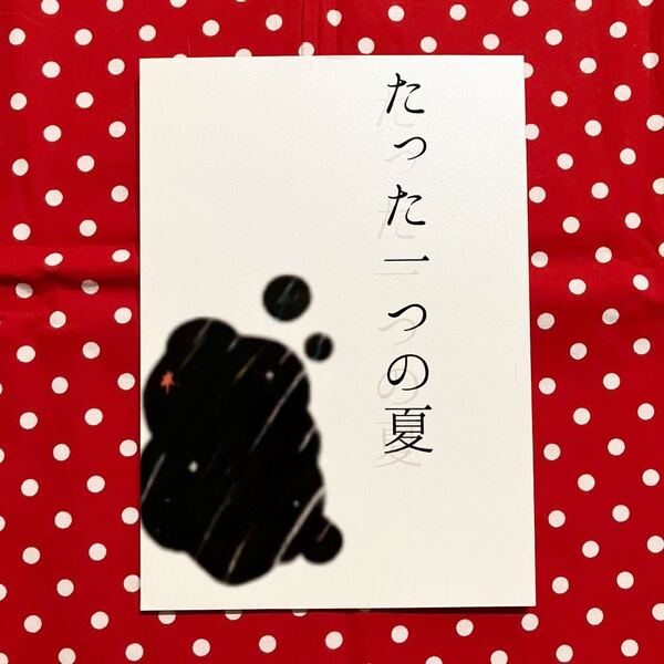 同人誌/ジャニーズWEST/WEST./ジャニスト/JW/青赤/りゅせしげ/藤井x重岡/小説/たった一つの夏