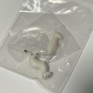 シャクレルプラネット3 オコジョ