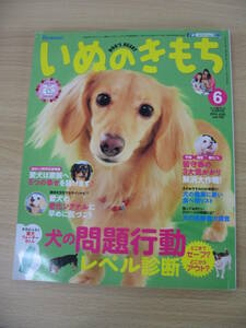 IZ0620 いぬのきもち6月号 2014年5月10日発行 問題行動 留守番 悪い食べ物 医療費 愛犬 しつけ 老化シグナル リラックス トイレ 健康 幸せ