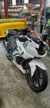 カワサキ ニンジャ250R EX250K リアハブダンパー K119-76_画像7