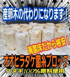 【8本セット】クワガタの産卵材の代わりに！オオヒラタケ菌床ブロック　簡単にほぐせるので幼虫の割り出しが楽です　マットに埋め込むだけ