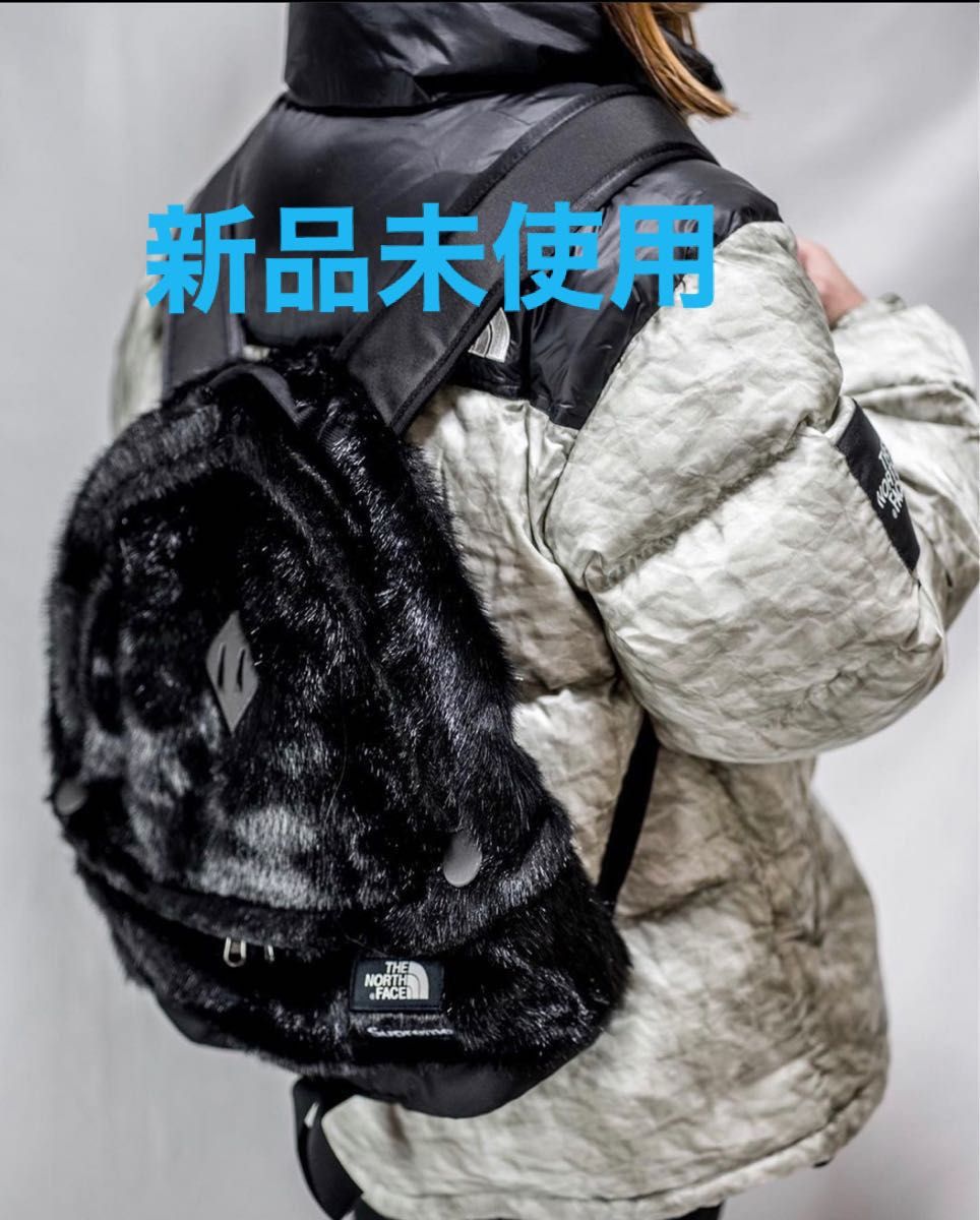 Supreme The North Face Faux Fur Backpack シュプリーム ザ ノース