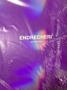 ENDRECHERI 堂本剛 20周年記念 ライブフォトブック